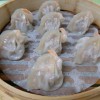 亓家蒸餃 南京三民で人気の蒸し餃子